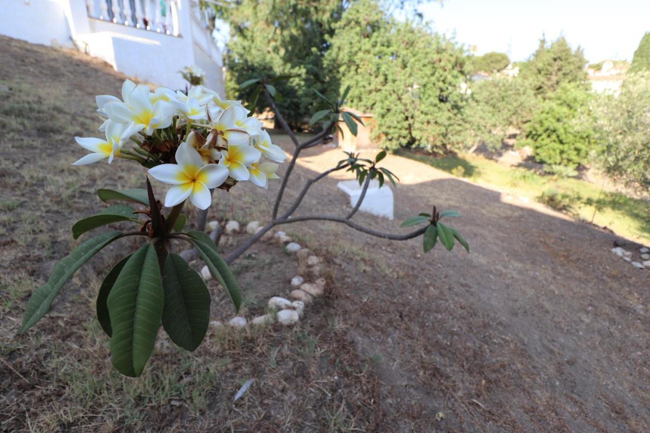 Casa Home Golf Playa El Faro エクステリア 写真
